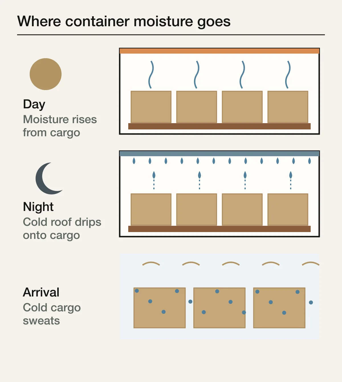 Cross-section of a shipping container showing daytime heating drawing moisture from cartons and pallets, nighttime cooling forming condensation on the roof that drips onto cargo, and cold cargo sweating when unloaded into warm humid air
