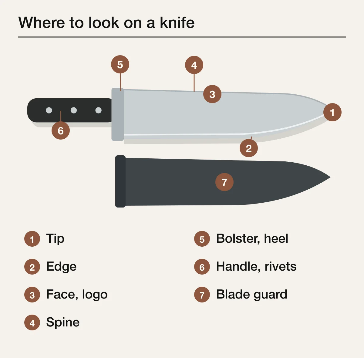 Annotated chef knife diagram marking seven inspection zones: tip, cutting edge, blade face and logo, spine, bolster and heel, handle and rivets, and the blade guard